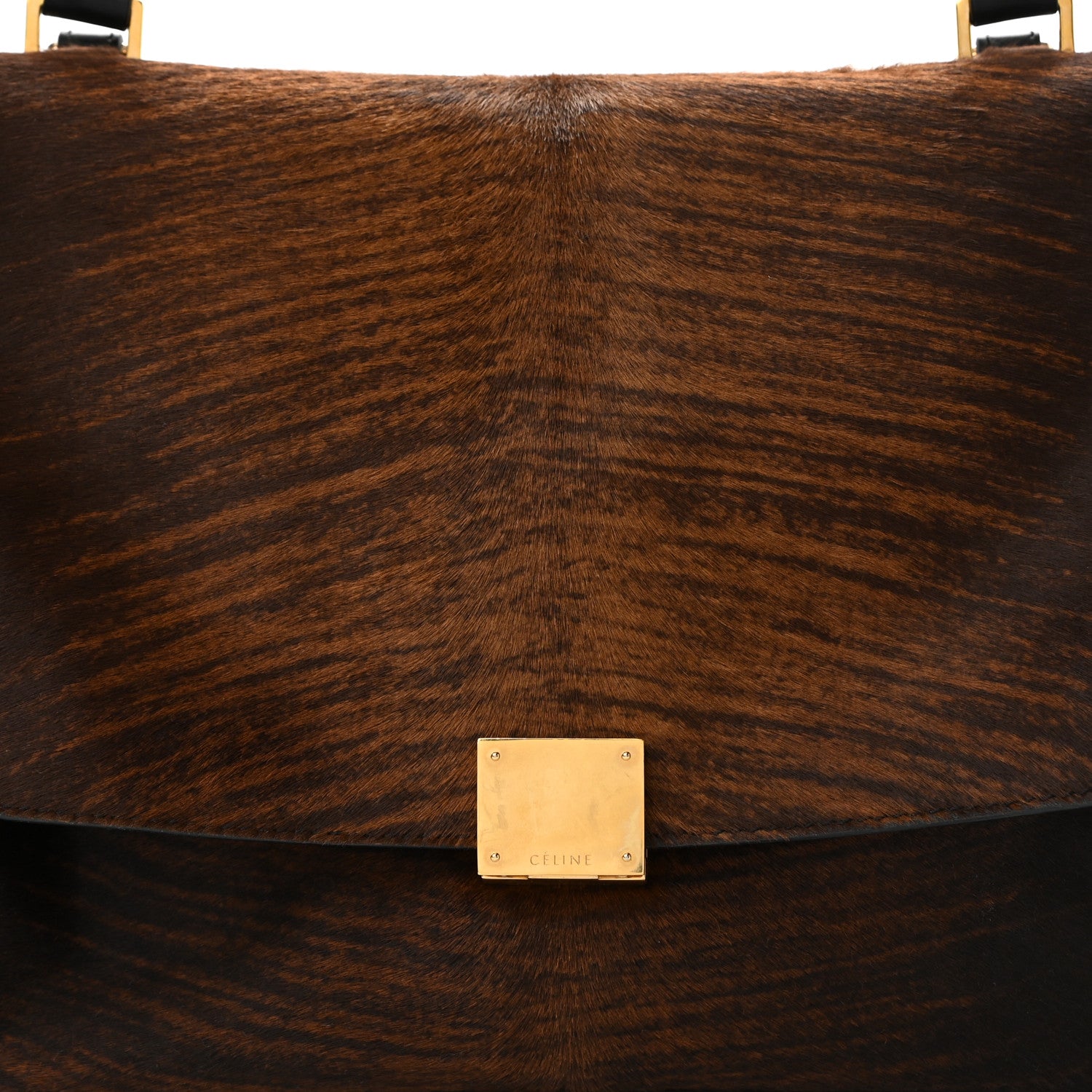 Celine Shaded Pony Hair Calfskin Medium Trapeze Brown 7 of 16