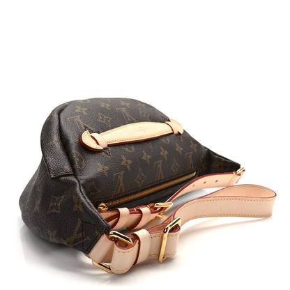 Louis Vuitton Monogram Bumbag 3 of 10