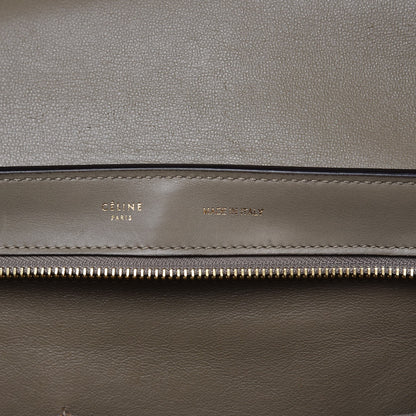 Celine Calfskin Suede Whipsnake Medium Trapeze Taupe 7 of 18