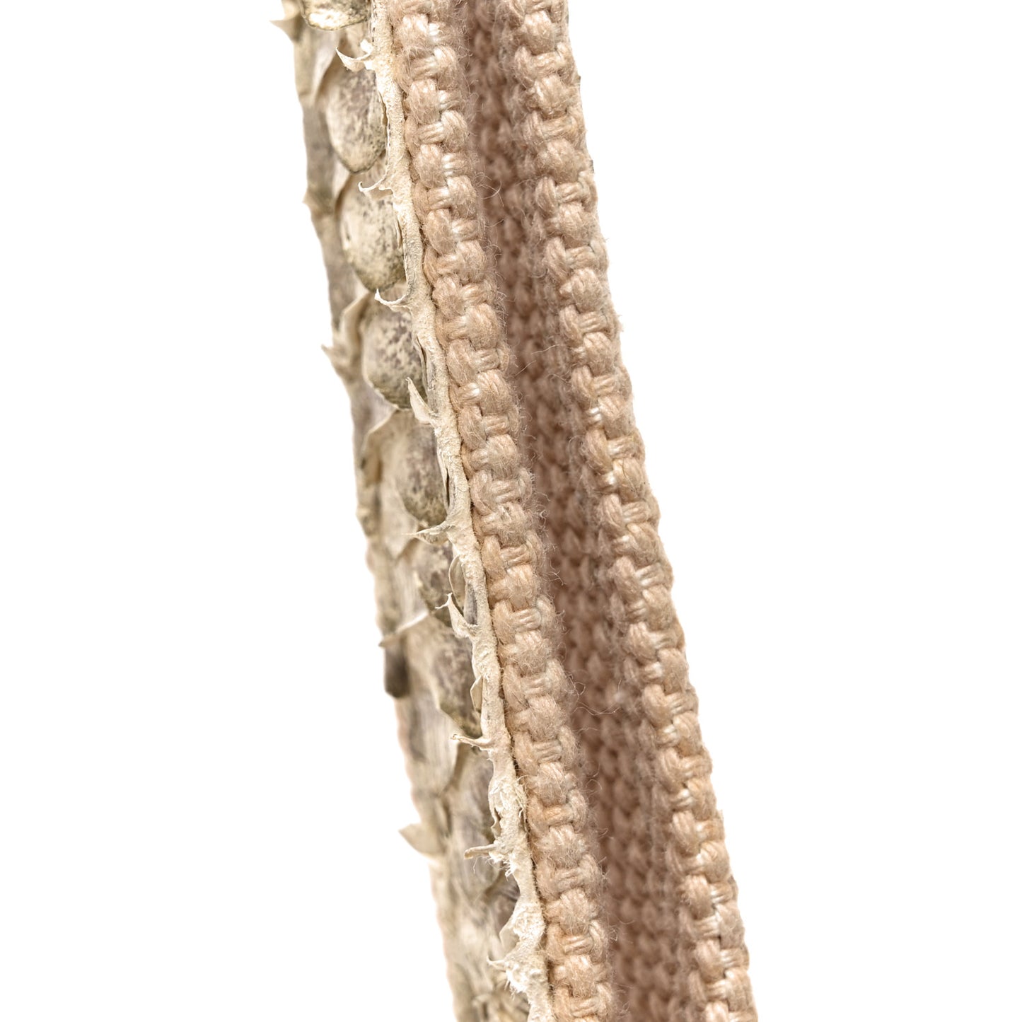 Snakeskin Canvas Flap Shoulder Bag Beige