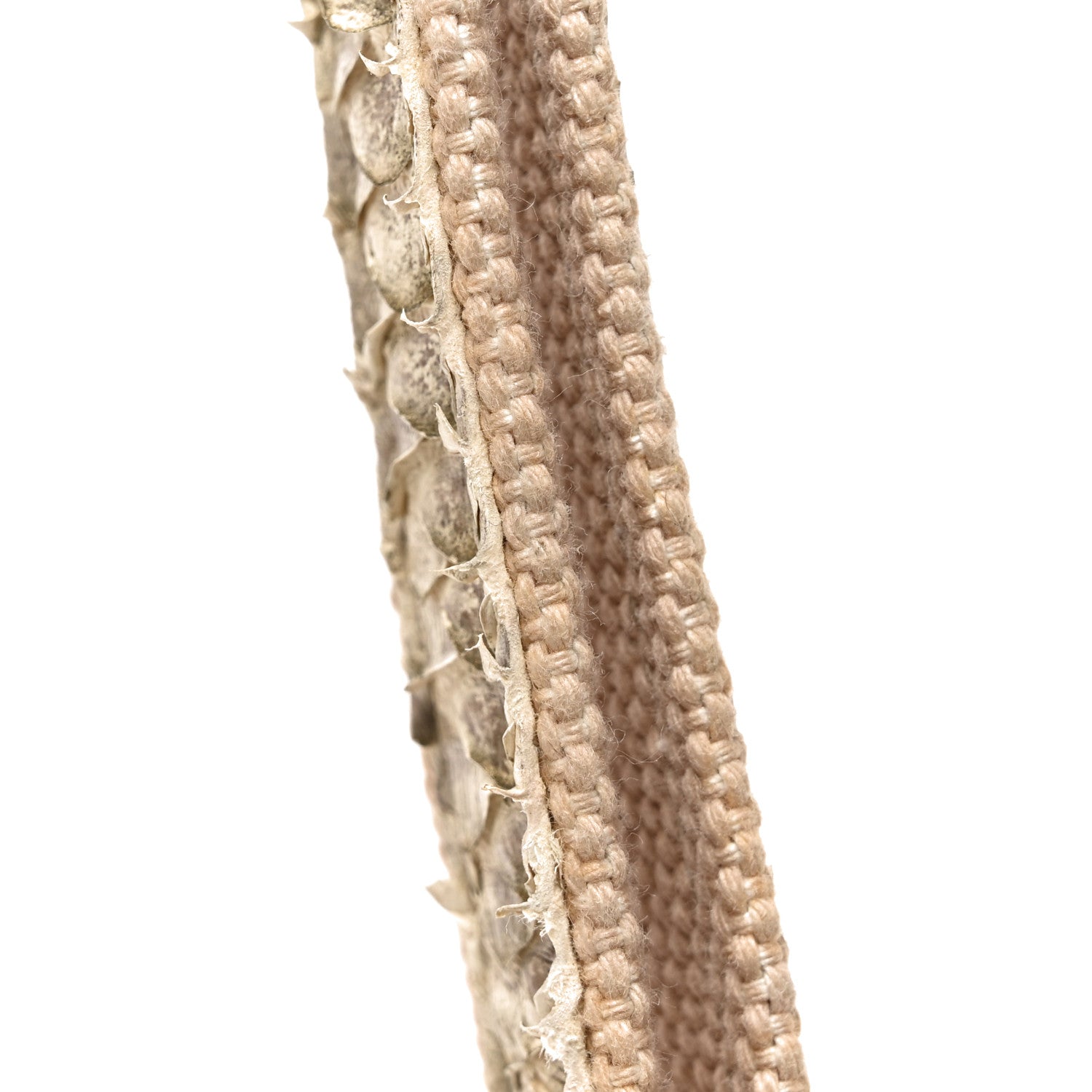 Chanel Snakeskin Canvas Flap Shoulder Bag Beige 10 of 10