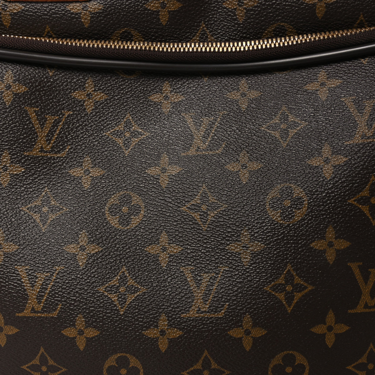 Monogram Icare Bag
