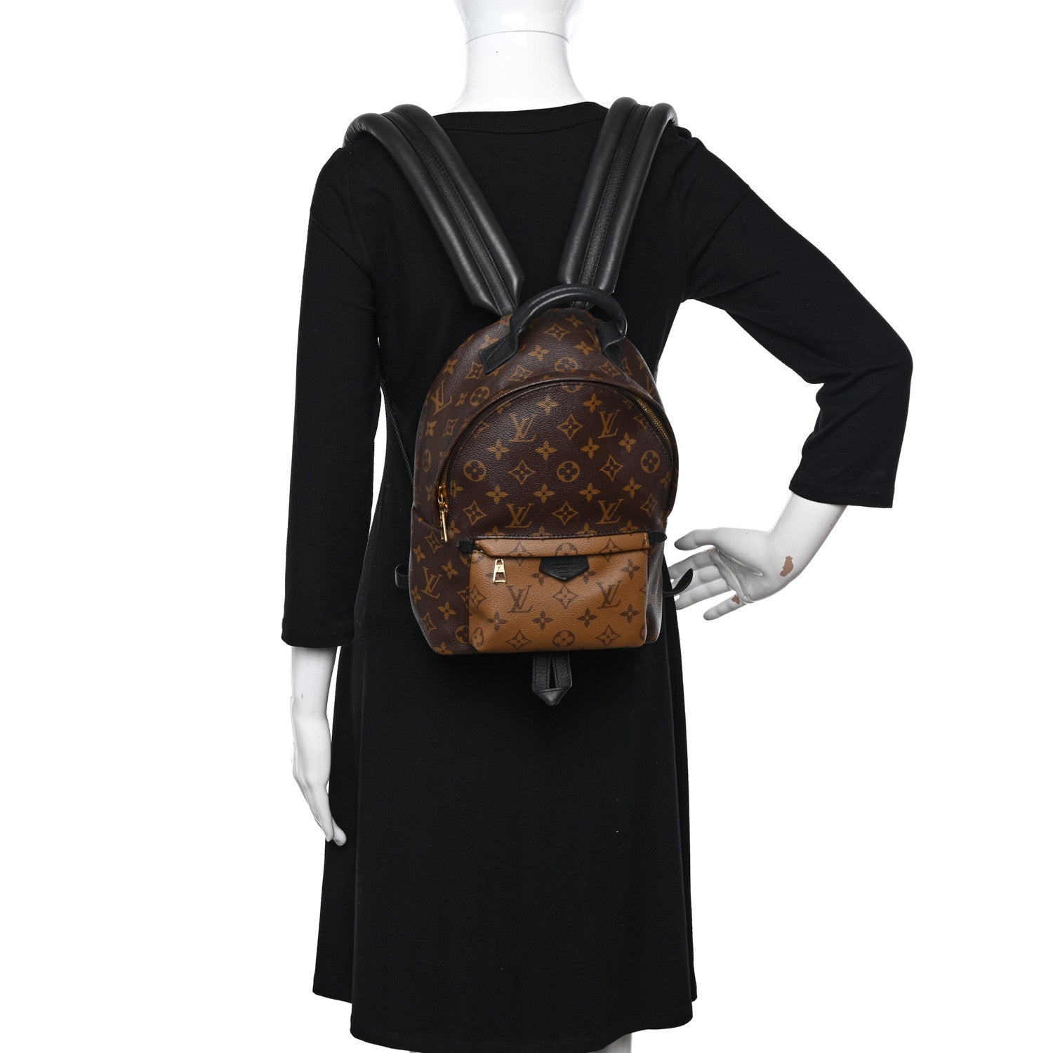 Louis Vuitton Reverse Monogram Palm Springs Backpack PM 2 of 12