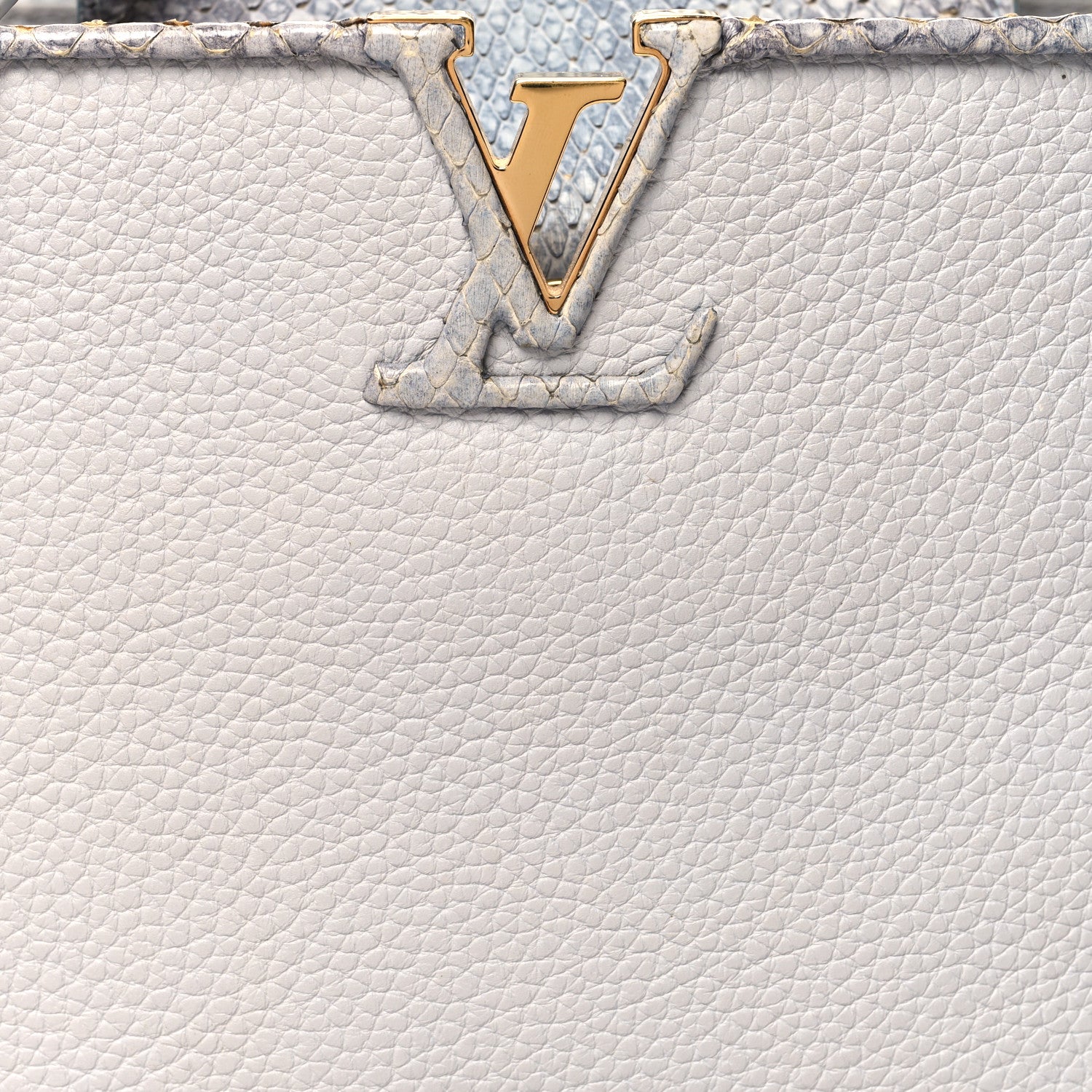 Louis Vuitton Taurillon Snakeskin Capucines BB 8 of 12