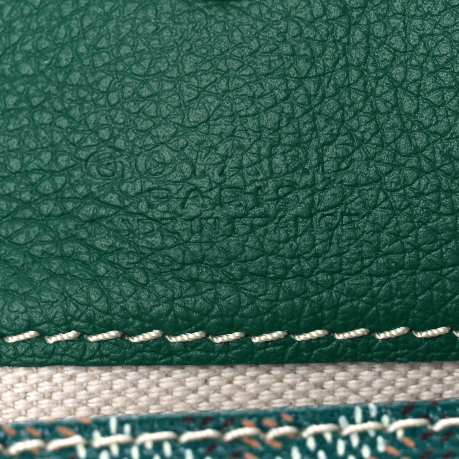 Goyard Goyardine Saint Louis PM Green 7 of 9