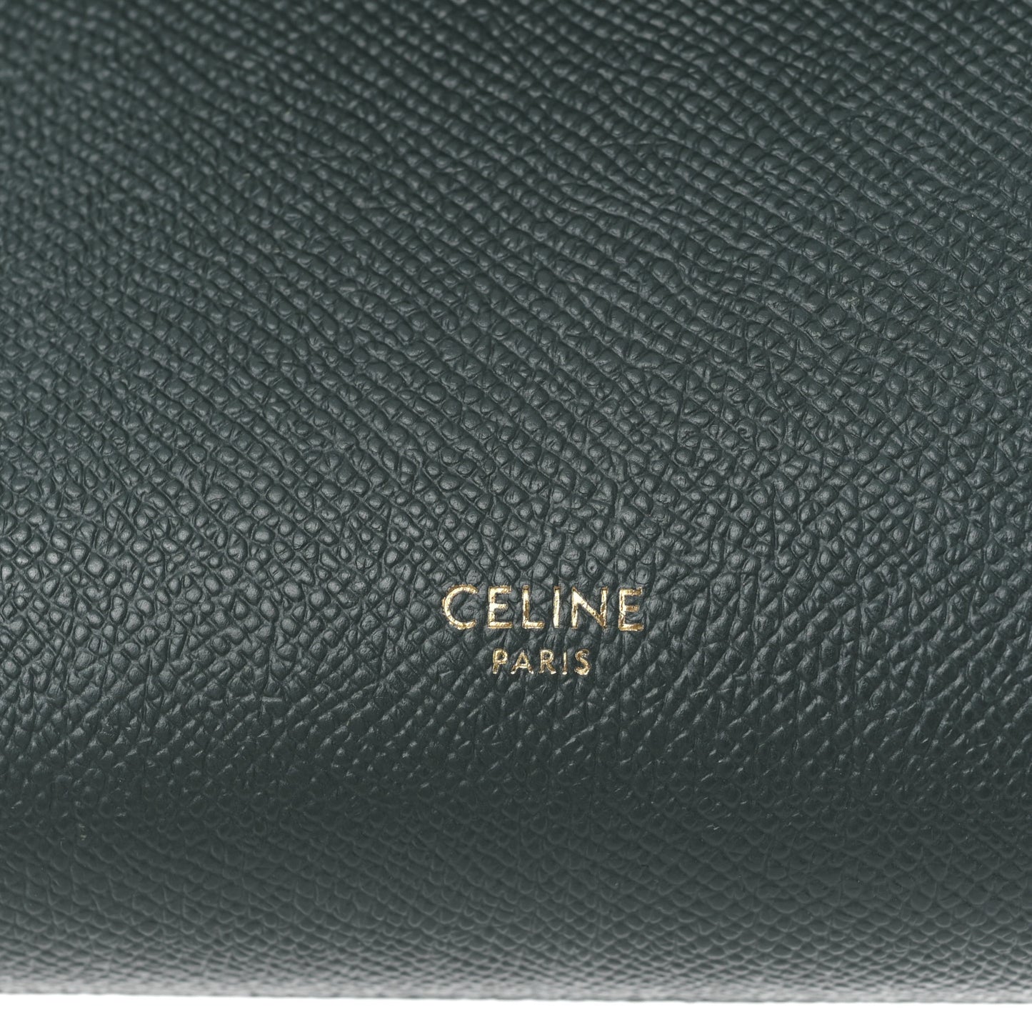 Grained Calfskin Nano Belt Bag Amazone