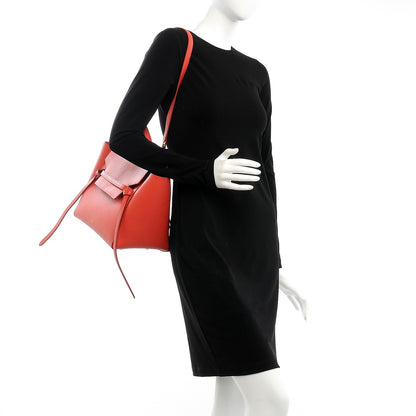 Celine Grained Calfskin Mini Belt Bag Poppy 2 of 9