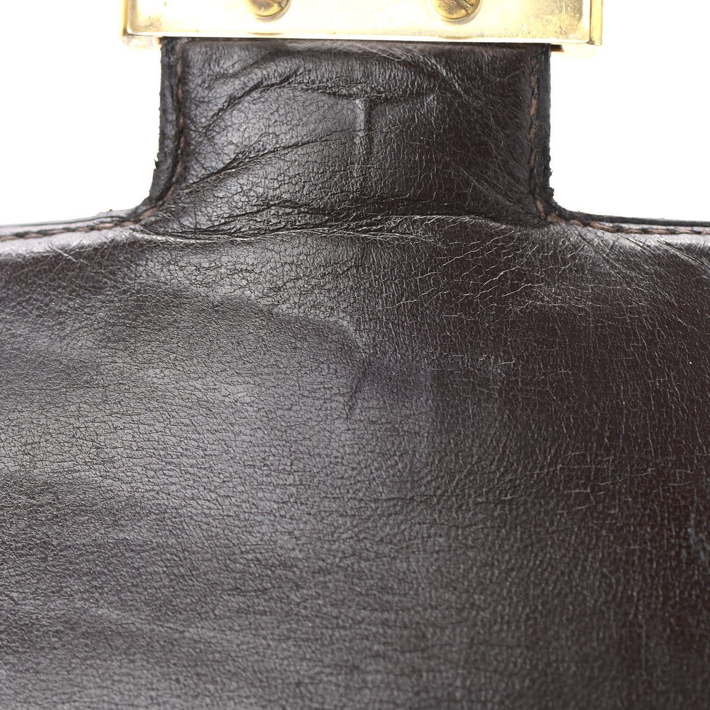 Shiny Porosus Crocodile Constance 23 Chocolate