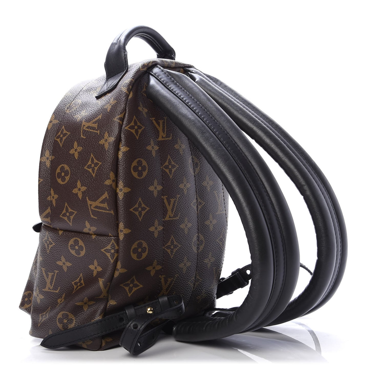 Monogram Palm Springs Backpack PM