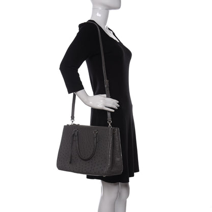 Prada Ostrich Medium Galleria Double Zip Tote Grey 2 of 10