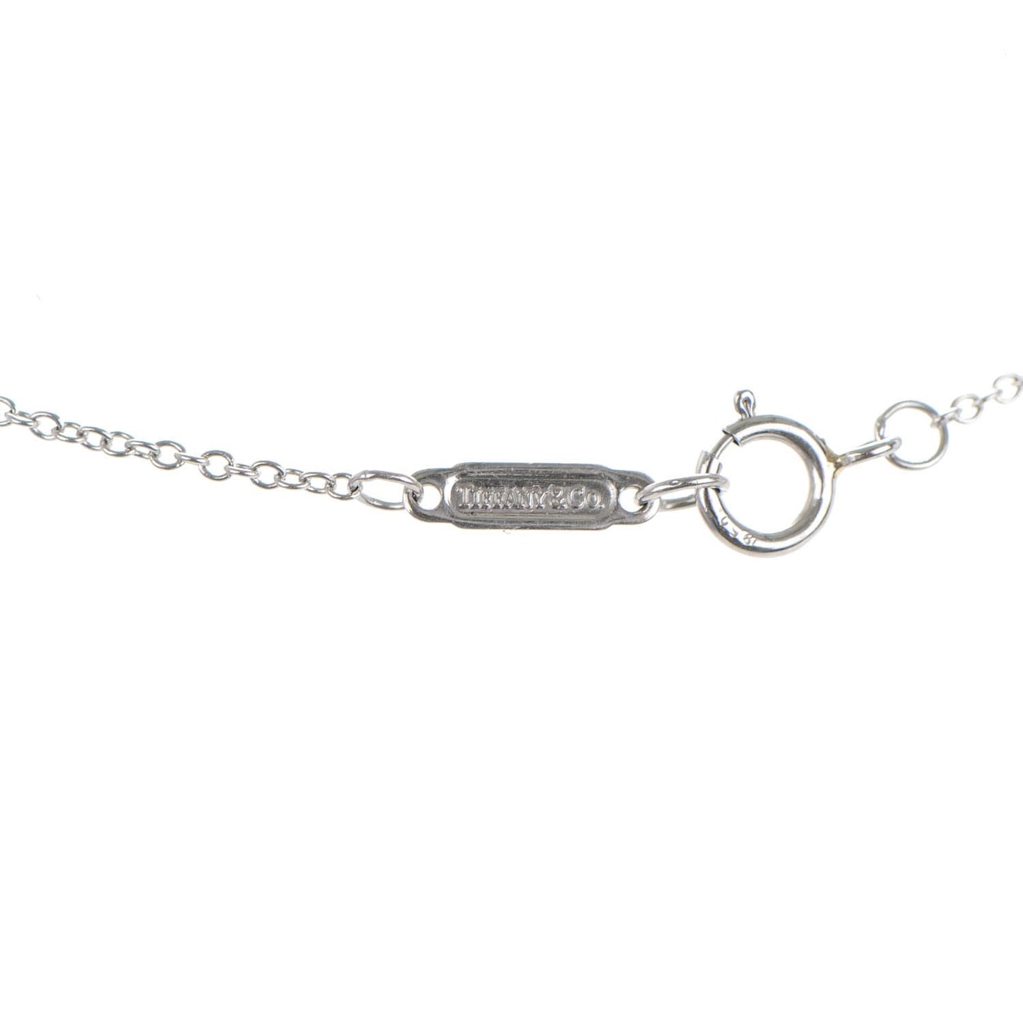 Platinum Diamond Horseshoe Pendant Necklace