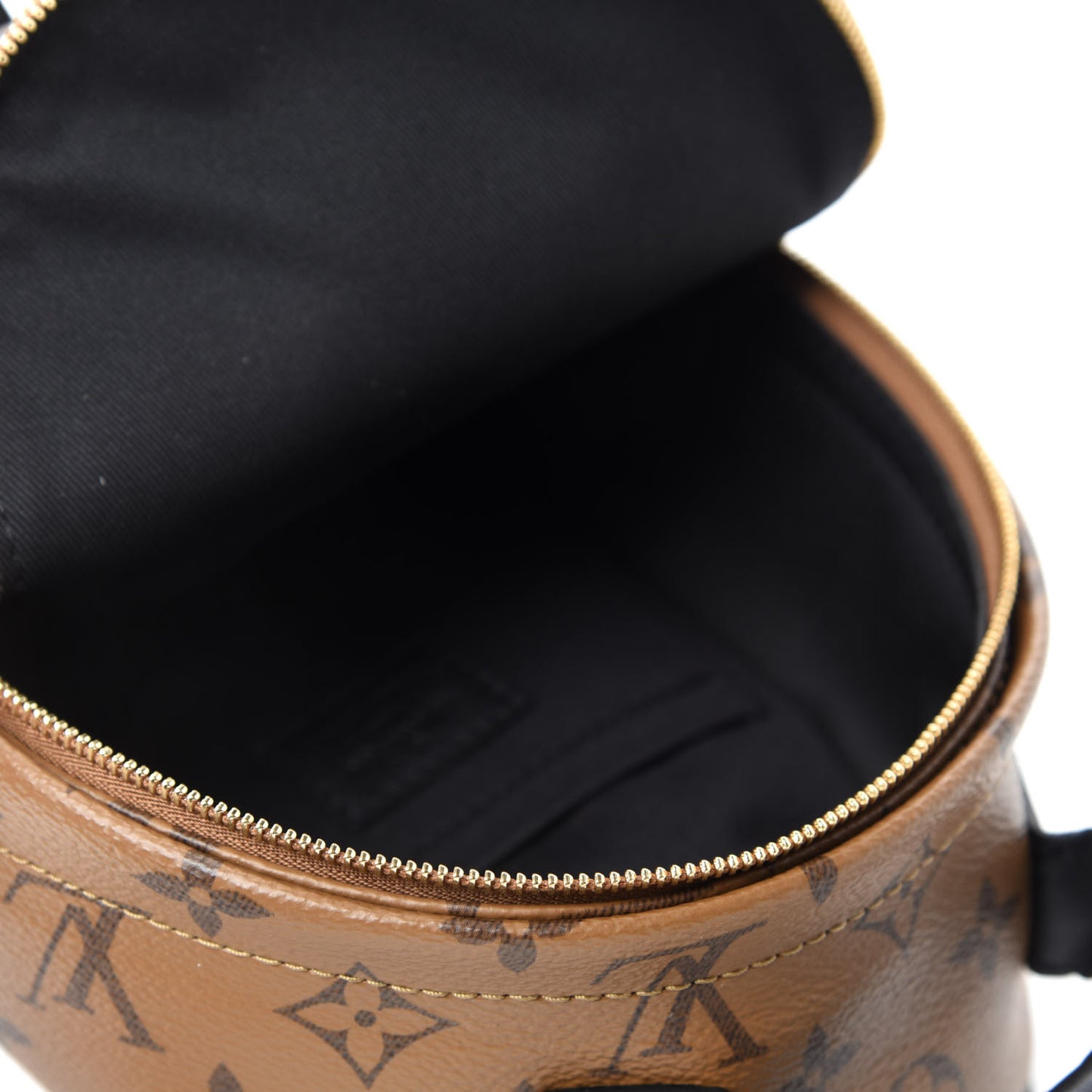 Reverse Monogram Palm Springs Backpack Mini