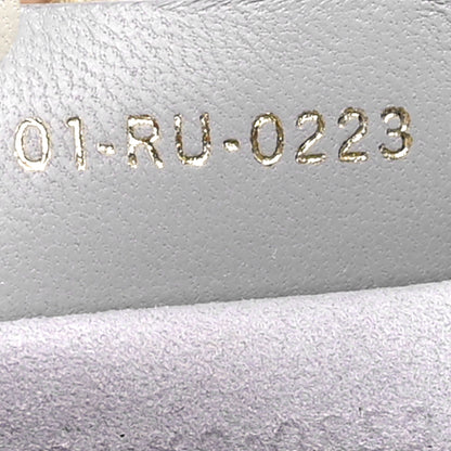 Christian Dior Lambskin Supple Macrocannage Small Ammi Bag Grey 7 of 10