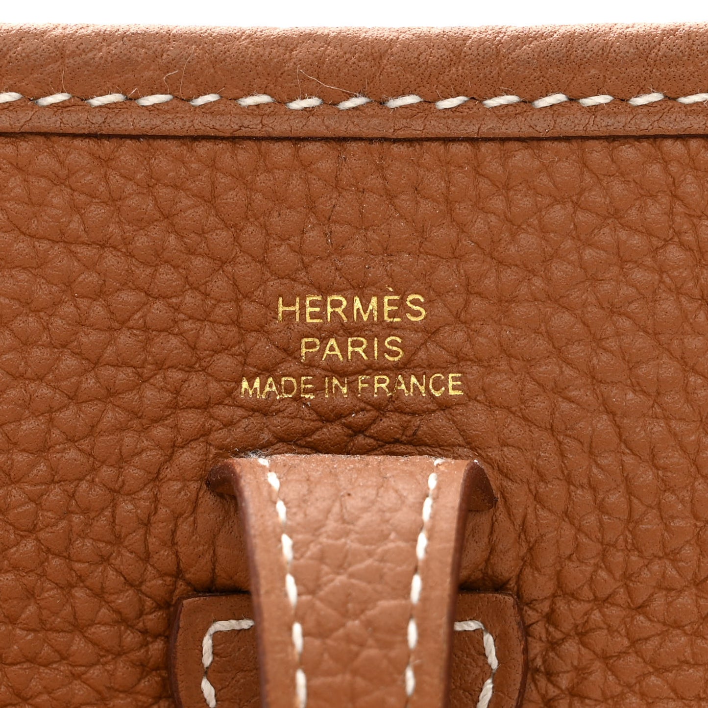 Taurillon Maurice Evelyne TPM Gold