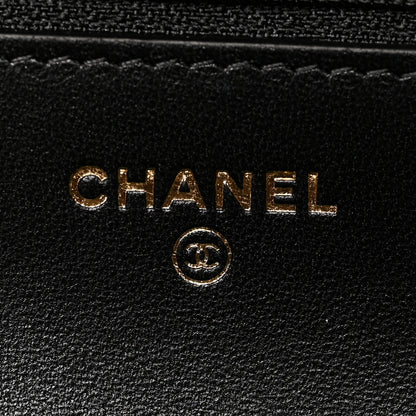 Chanel Lambskin Plexi Quilted Wallet On Chain WOC Black 6 of 11