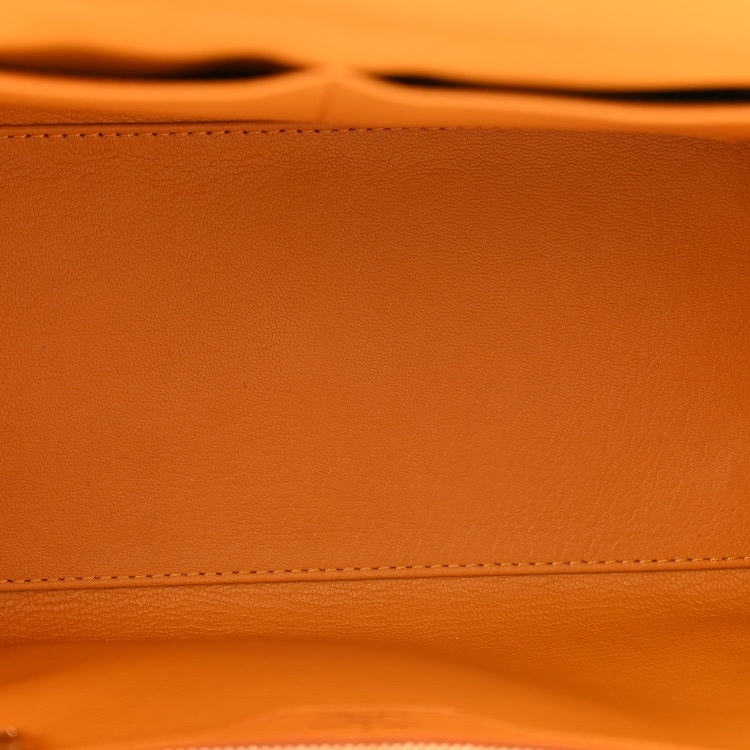 Louis Vuitton Monogram Ostrich Lizard Majestueux PM Yellow 5 of 10