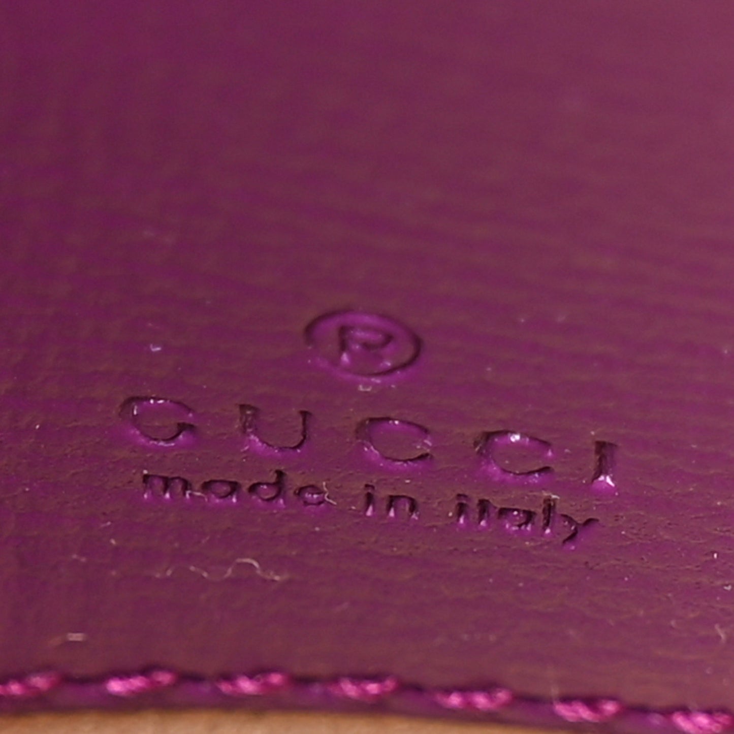 Azalea Calfskin Web Monochrome Horsebit 1955 Wallet On Strap Purple