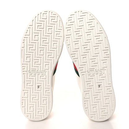 Gucci Calfskin Crocodile Web Womens Ace Sneakers 37 White Green 5 of 10