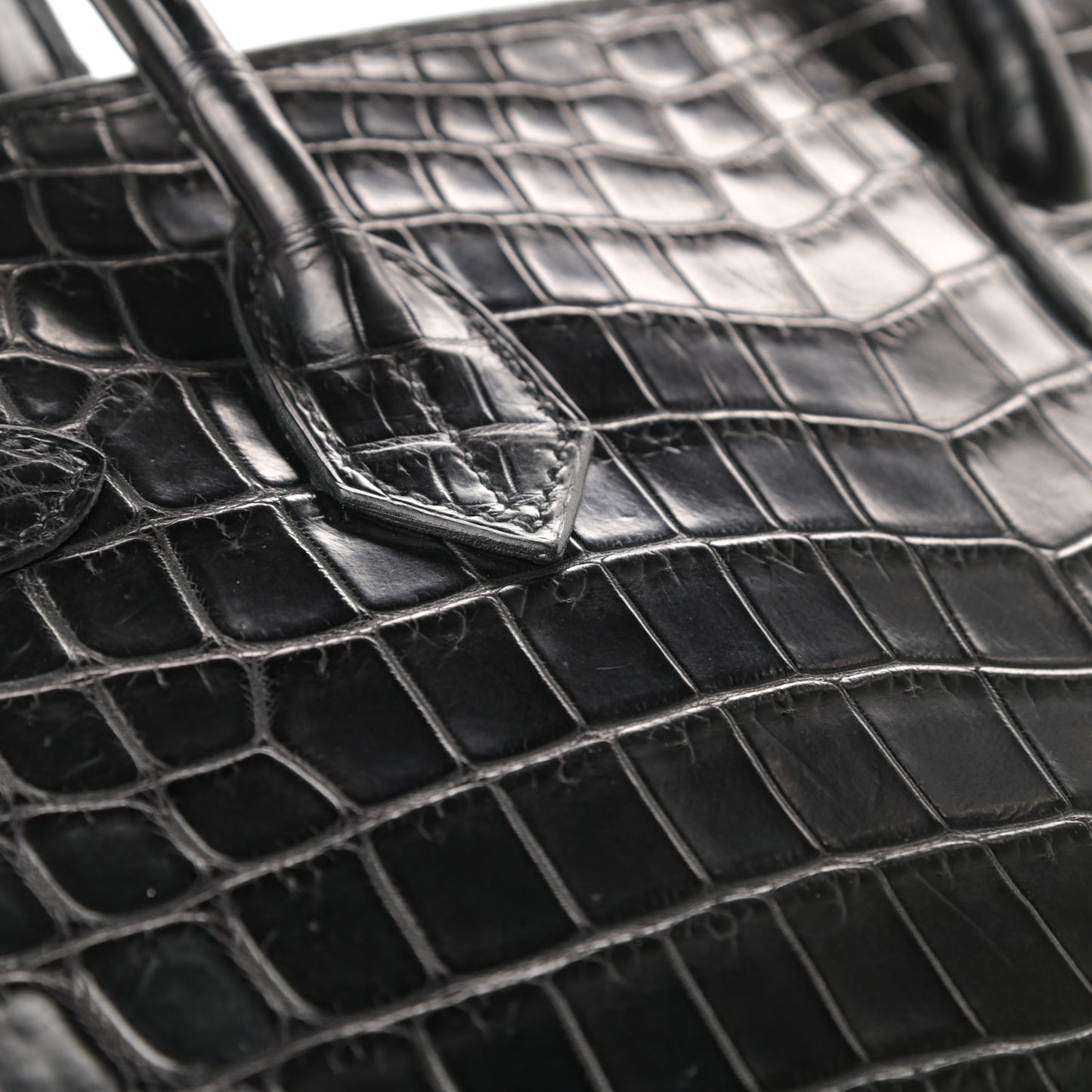 Matte Niloticus Crocodile Birkin 30 Black