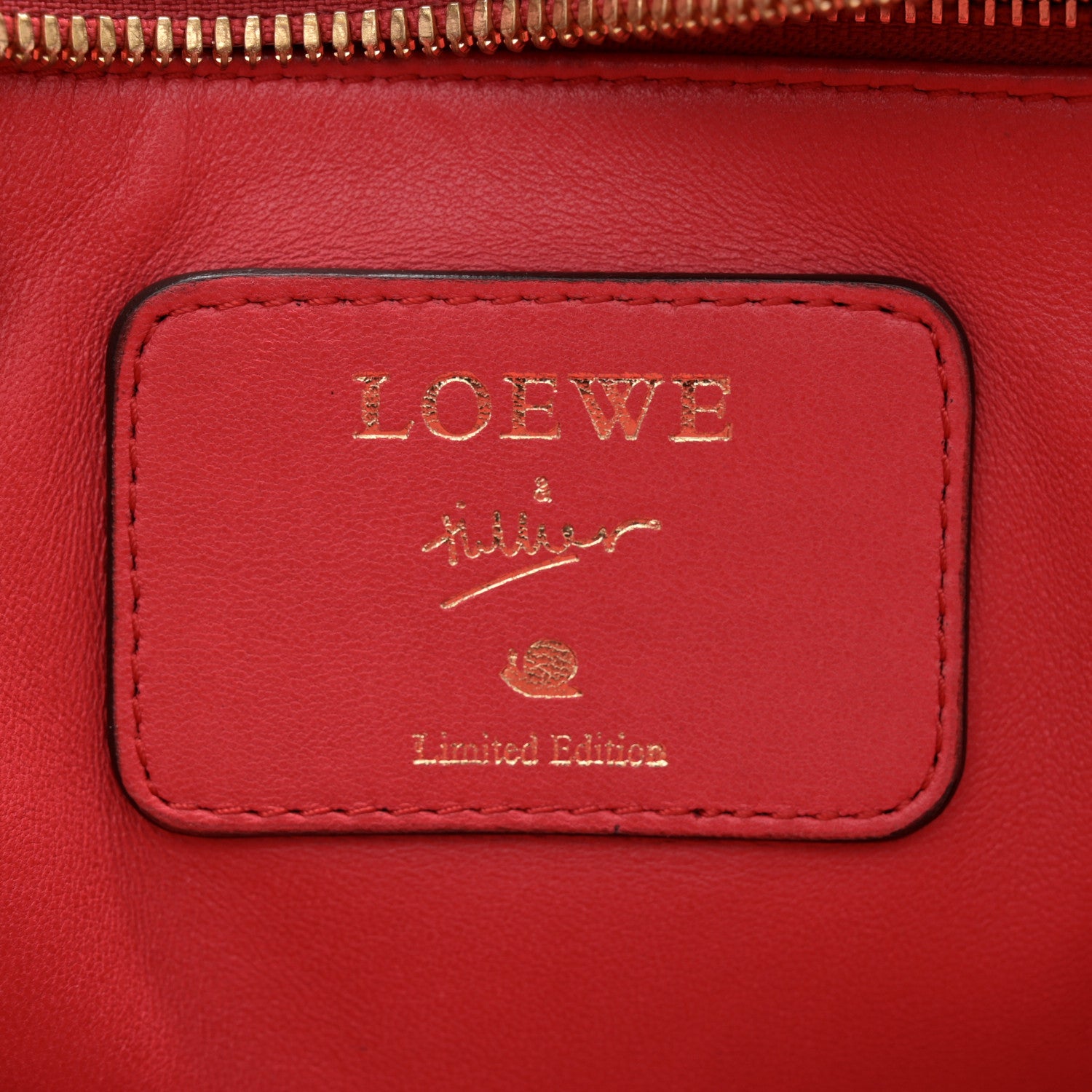 Loewe Calfskin Amazona 36 Red 6 of 15