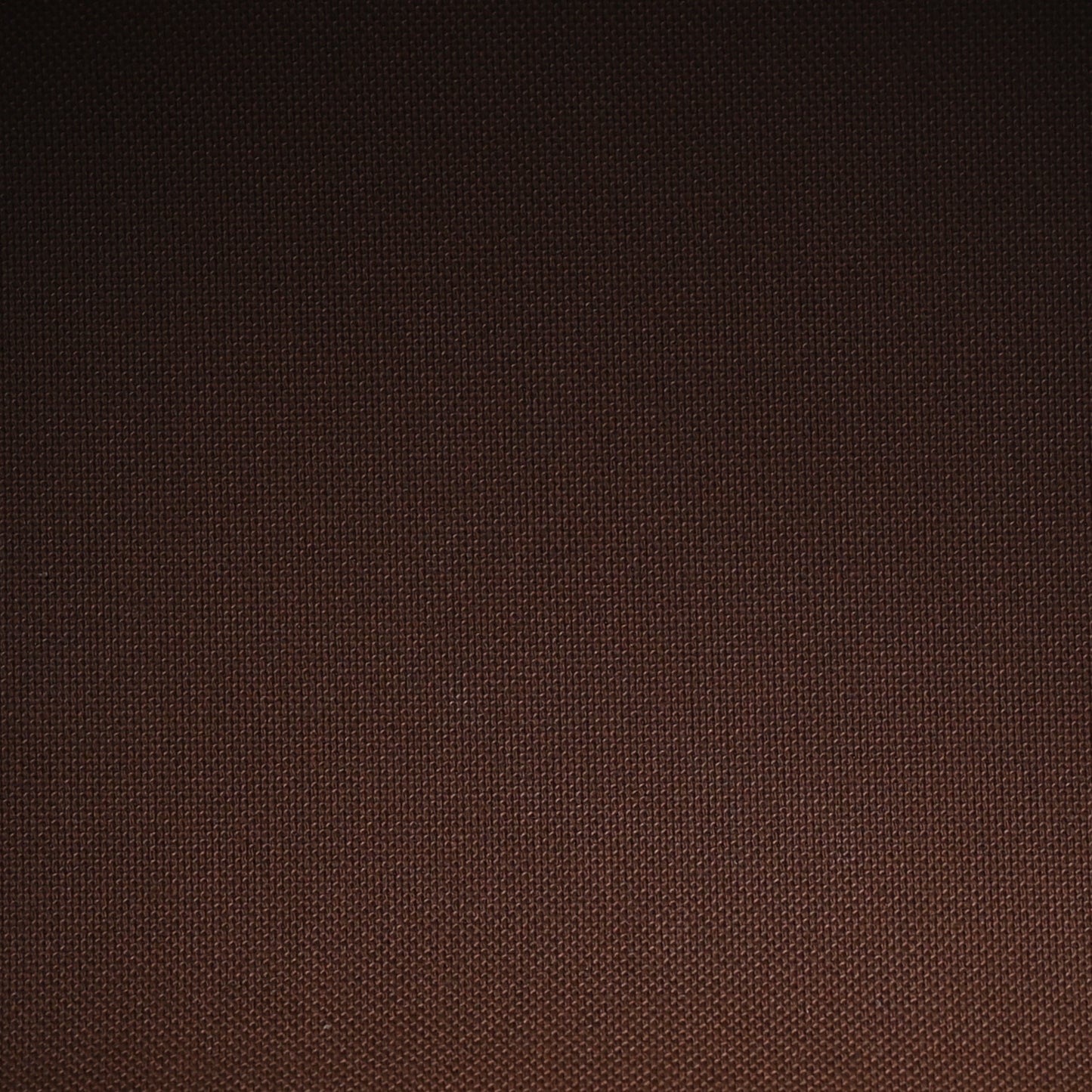 Monogram Speedy Bandouliere 30