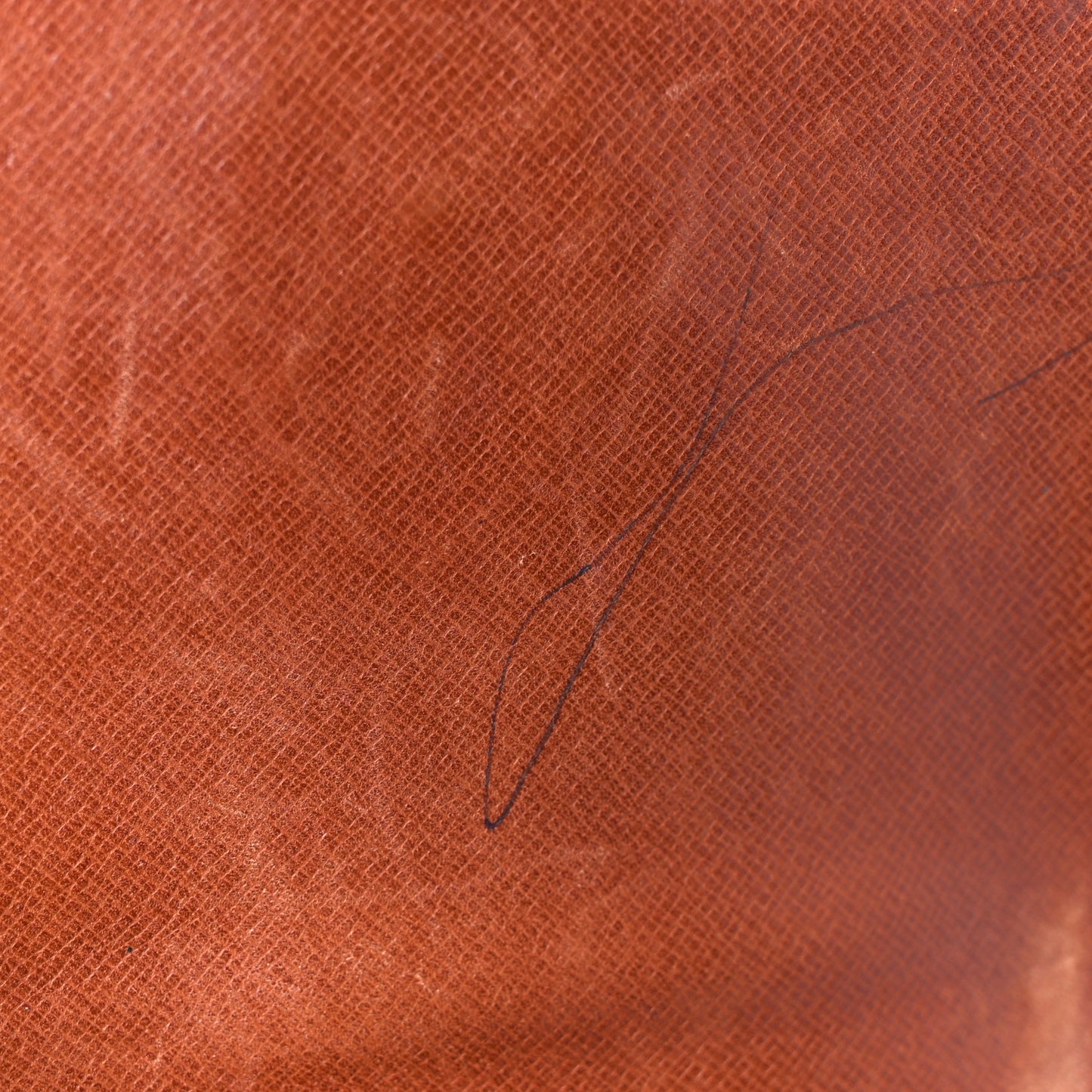 Monogram Cartouchiere 17