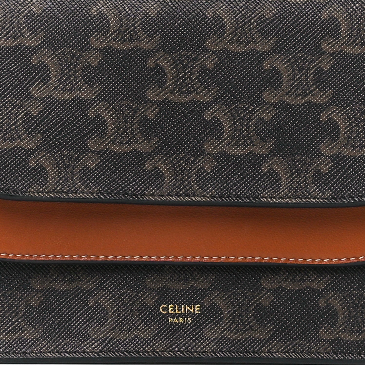 Celine Triomphe Canvas Lambskin Wallet On Strap Tan 9 of 12