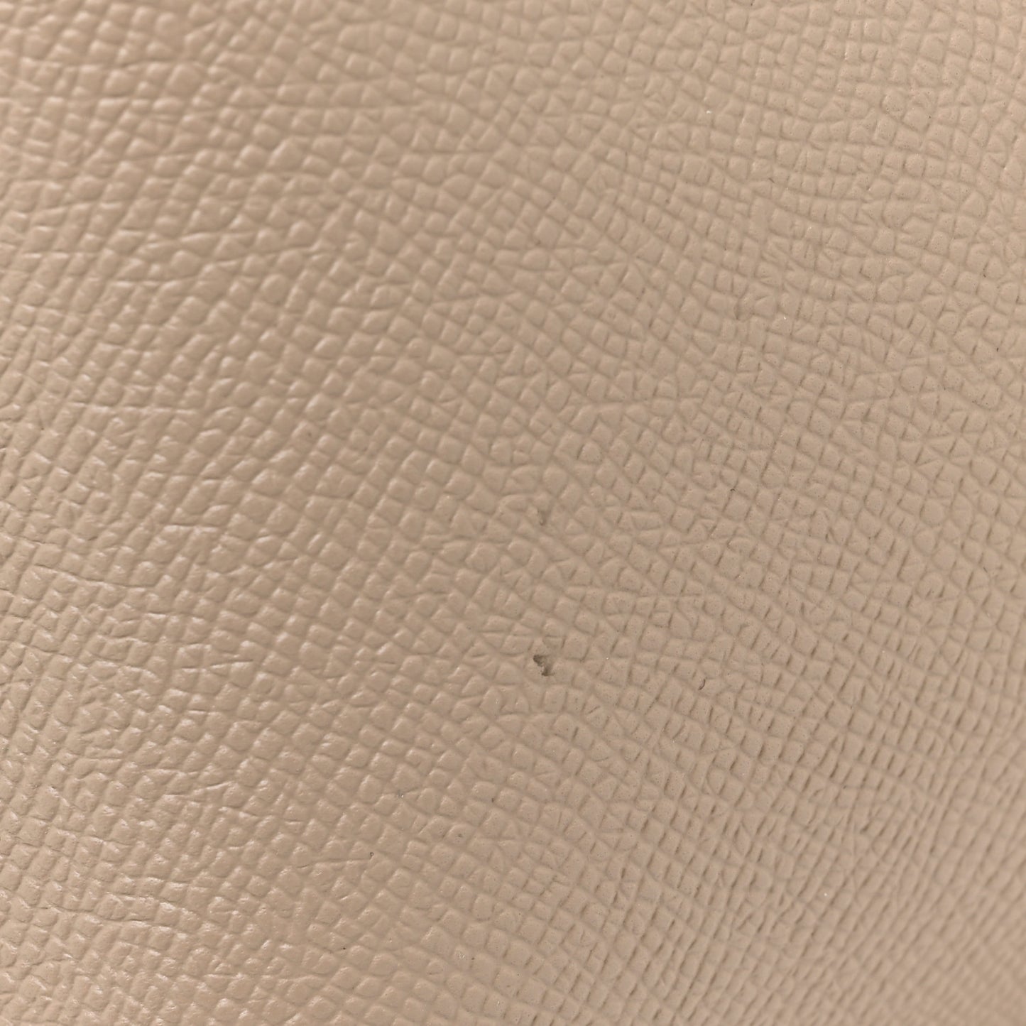 Grained Calfskin Micro Belt Bag Light Taupe