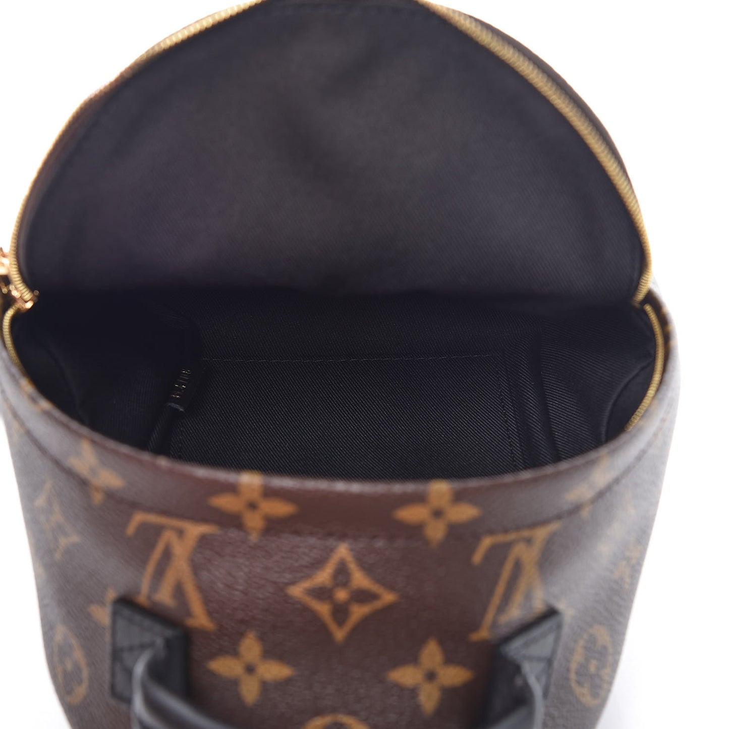 Monogram Palm Springs Backpack Mini