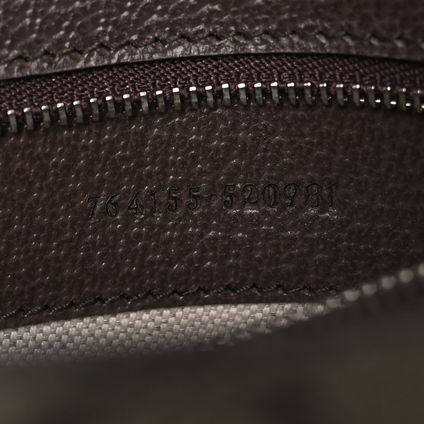 Monogram Small Horsebit 1955 Asymmetric Shoulder Bag