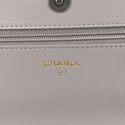 Chanel Lambskin Quilted Chanel 19 Wallet On Chain WOC Grey 6 of 13