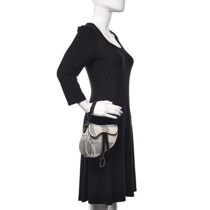 Christian Dior Crystal Calfskin Mini Saddle Bag Latte 2 of 7