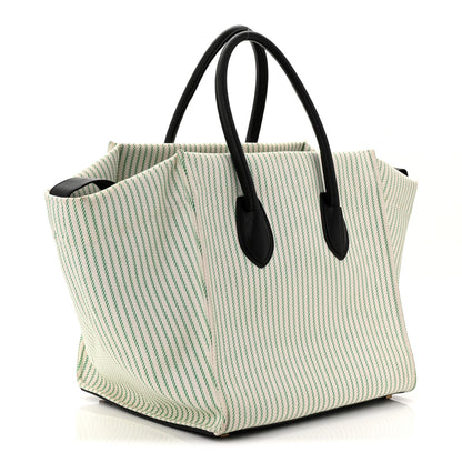 Celine Cotton Canvas Striped Medium Phantom Luggage White Green 3 of 11