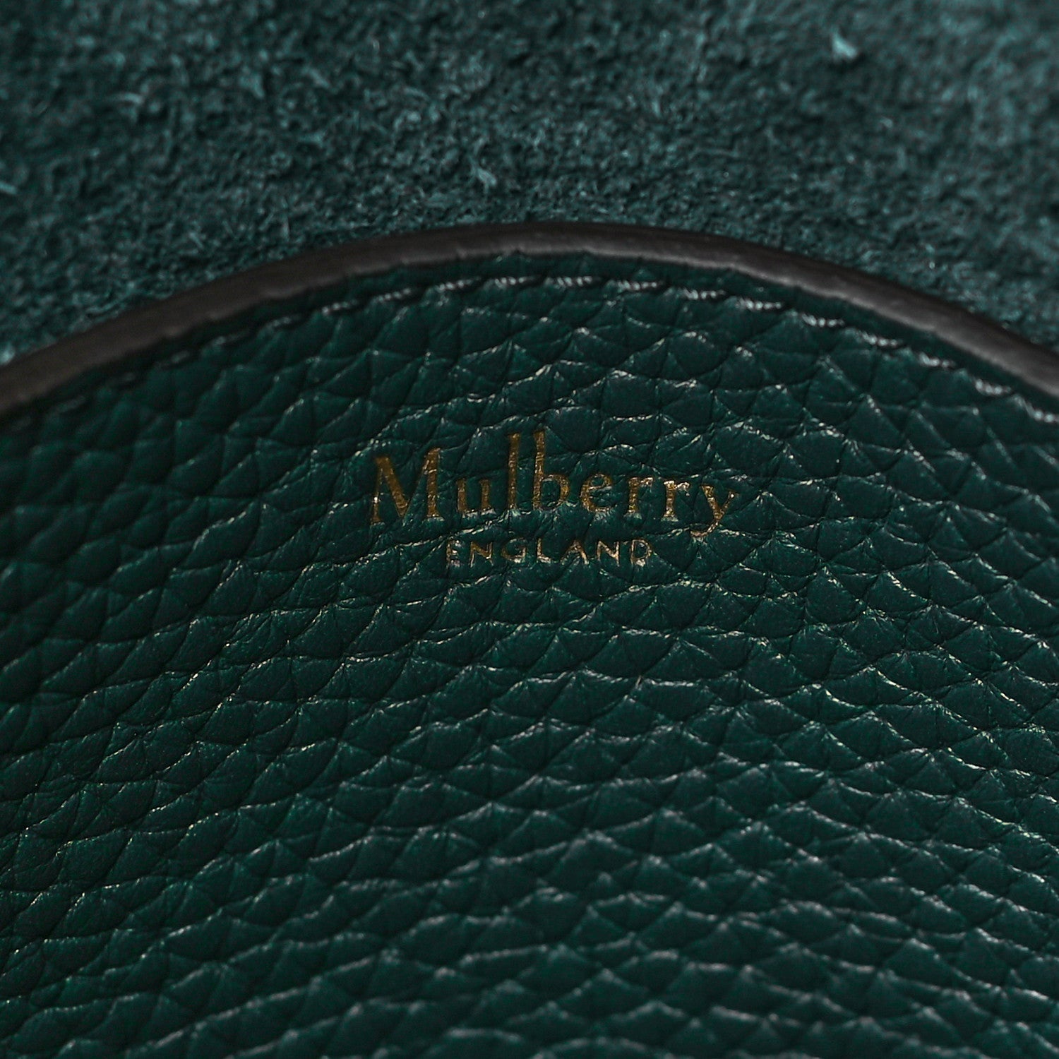 Mulberry Heavy Grain Medium Alexa Mulberry Green 6 of 9