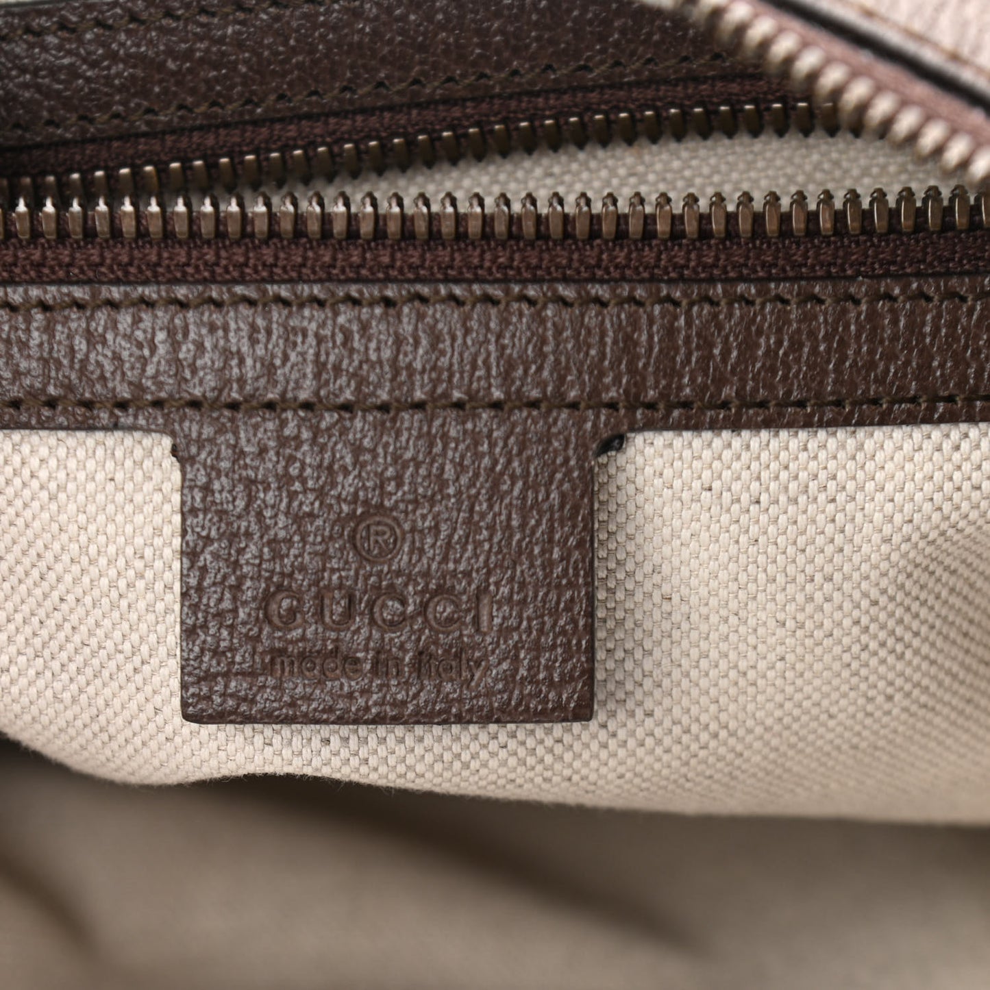 GG Supreme Monogram Web Small Ophidia Half Moon Hobo Brown