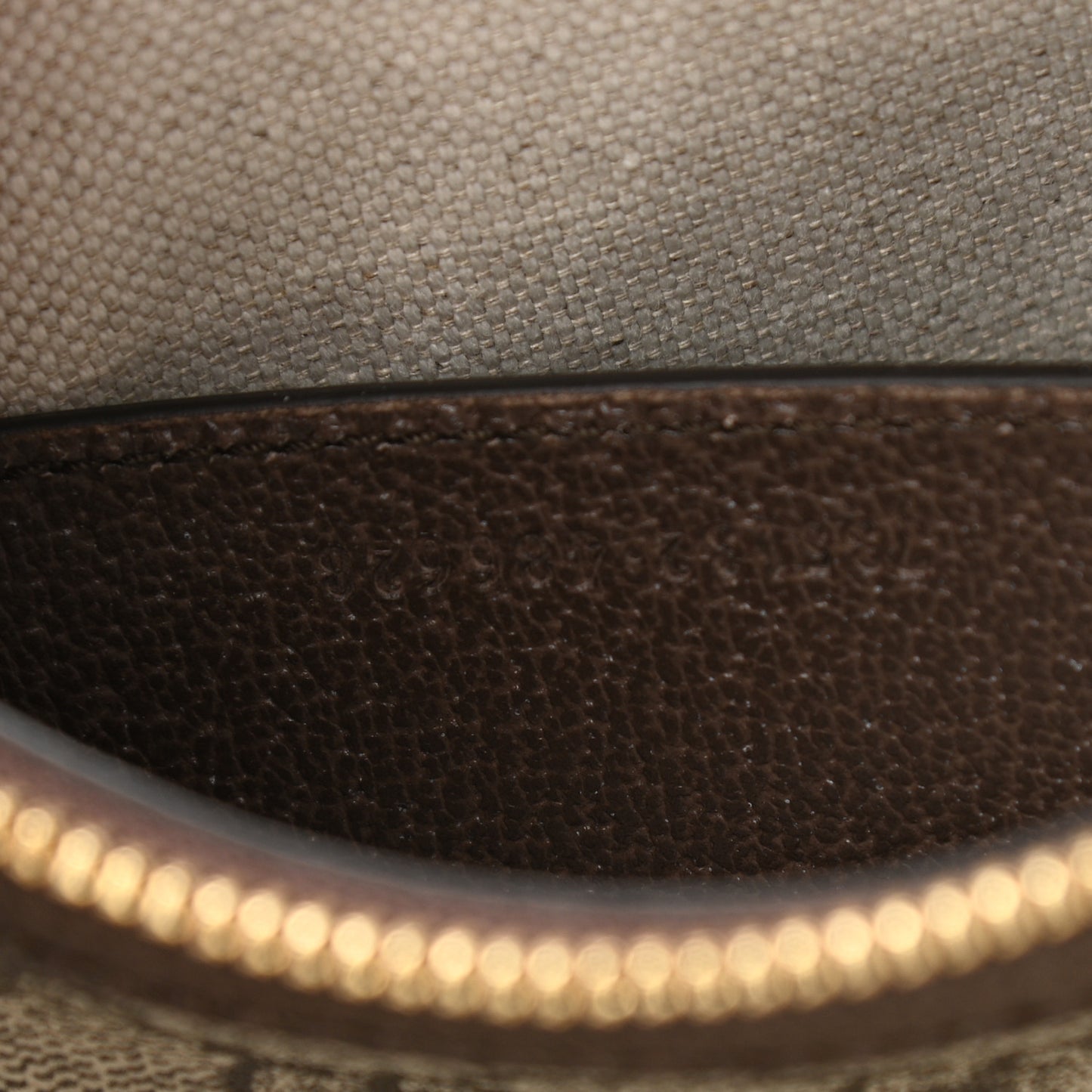 GG Supreme Monogram Textured Dollar Calfskin Web Small Ophidia GG Handbag Beige Ebony New Acero