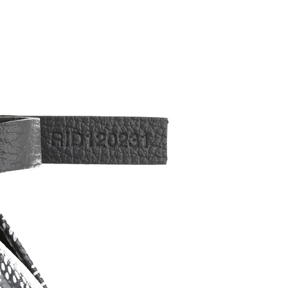 Goyard Goyardine Saint Louis PM Grey 7 of 11