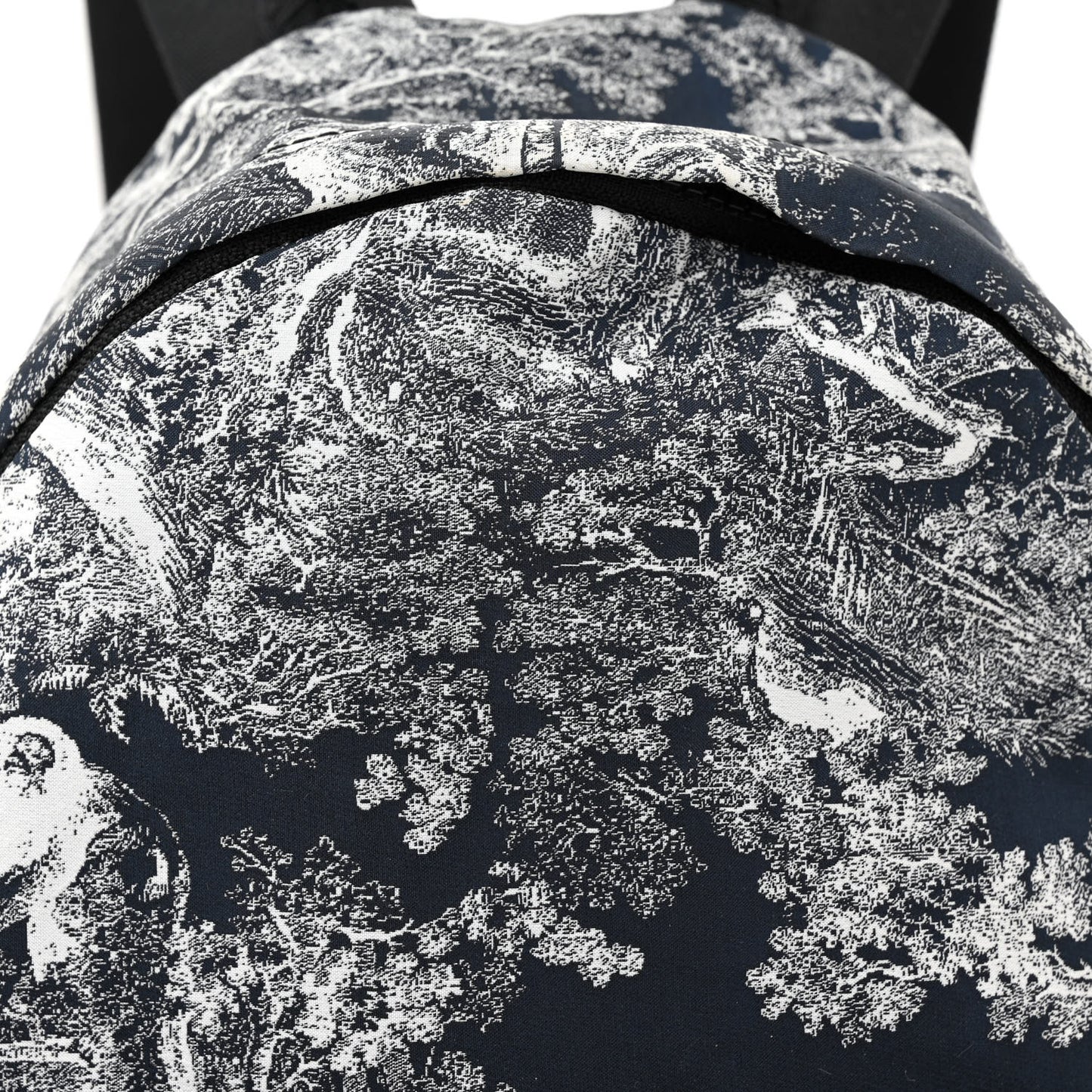 Nylon Technical Fabric Toile De Jouy Small Diortravel Backpack Blue