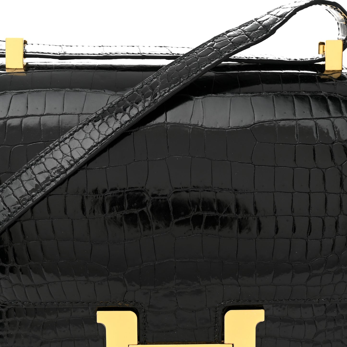 Shiny Porosus Crocodile Constance 24 Black