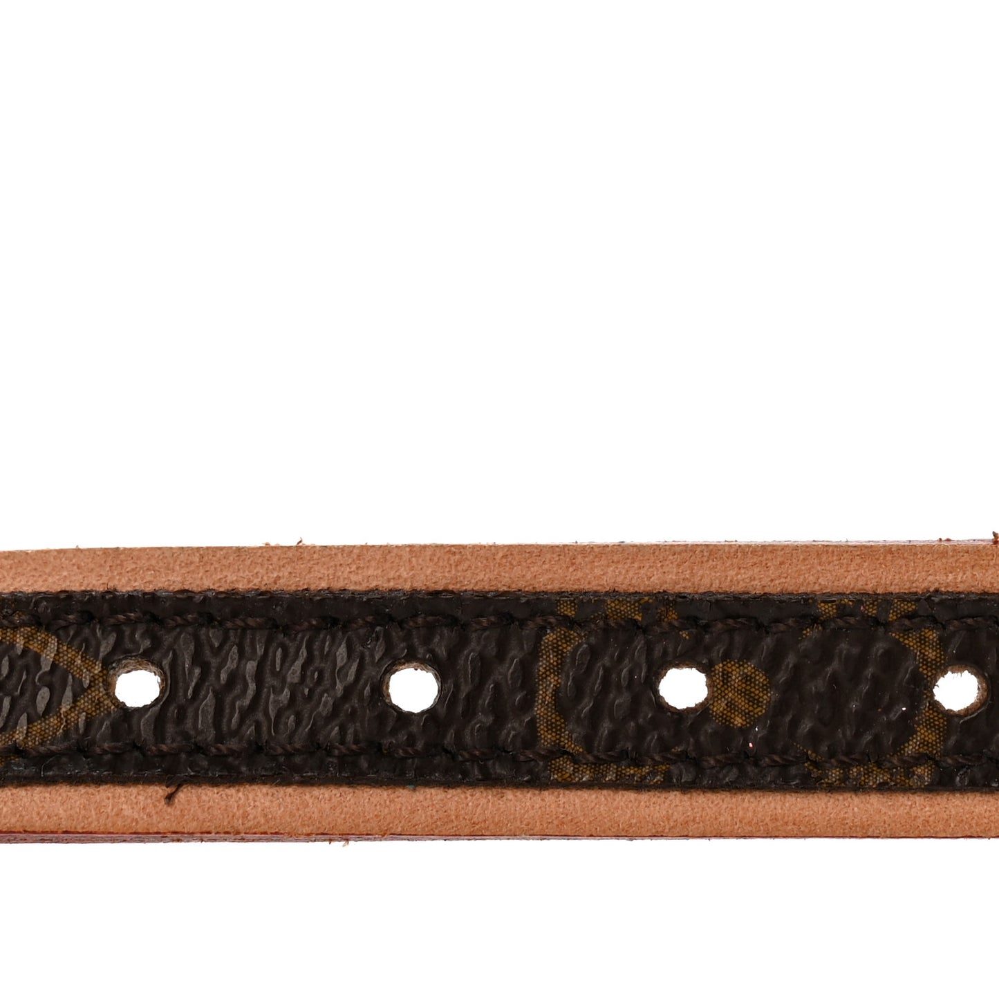 Monogram Baxter Dog Collar PM