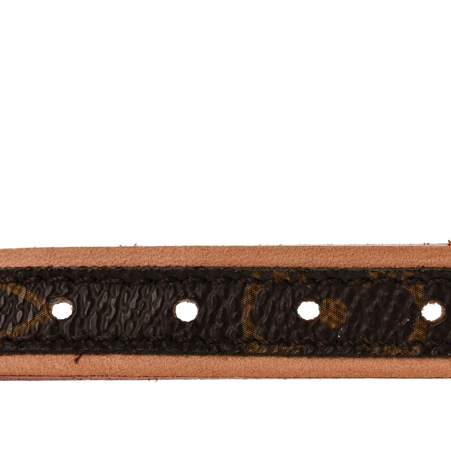 Louis Vuitton Monogram Baxter Dog Collar PM 3 of 9