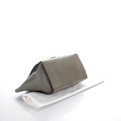 Celine Python Calfskin Medium Trapeze Grey 4 of 7