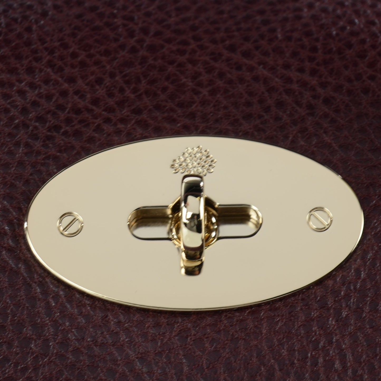 Natural Leather Small Bayswater Oxblood