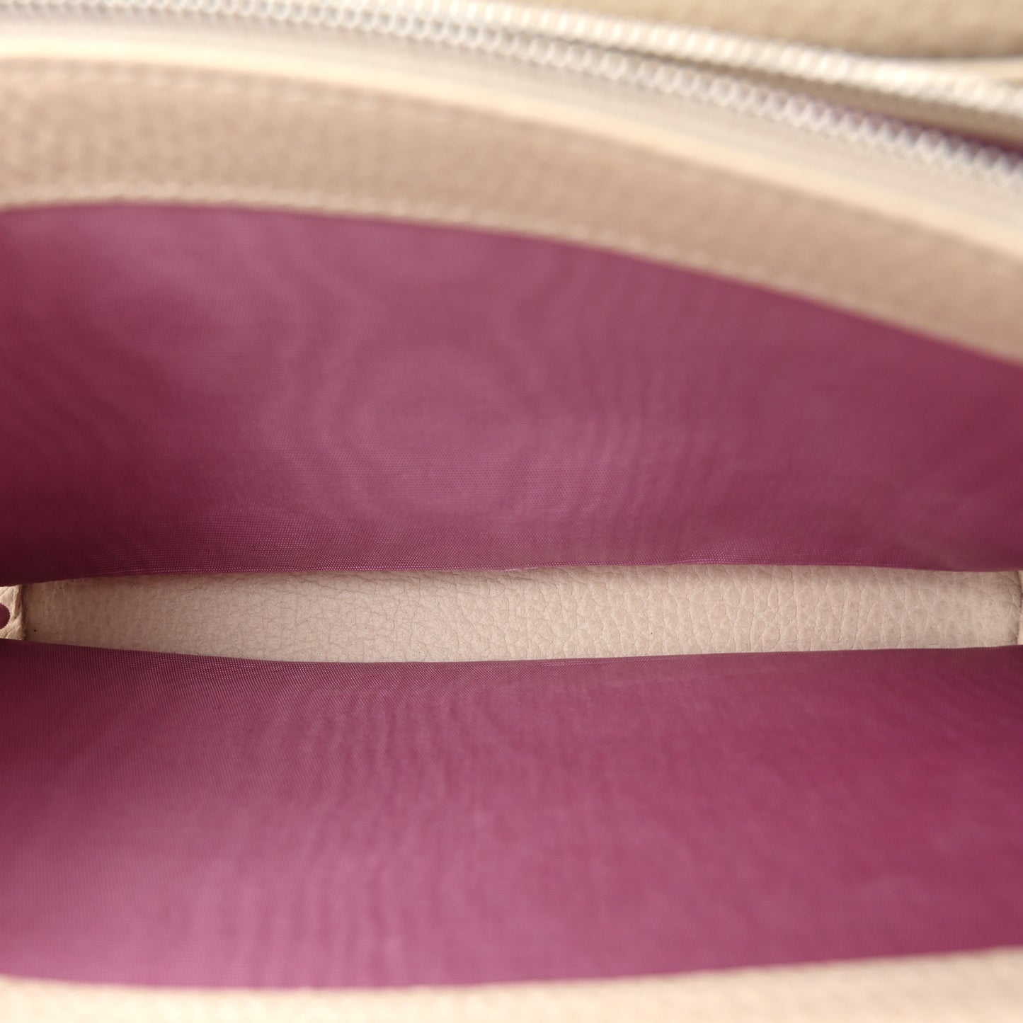 Dollar Calfskin Mini Dionysus Chain Wallet Mystic White
