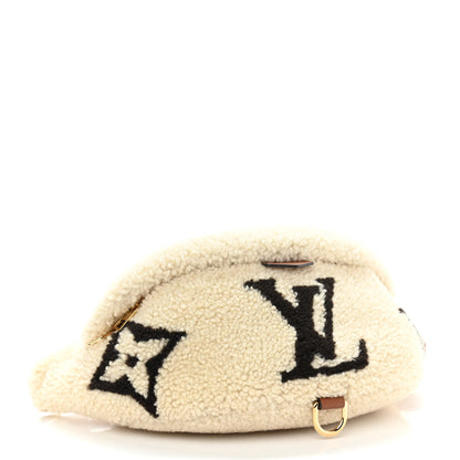 Louis Vuitton Monogram Teddy Bumbag 4 of 9