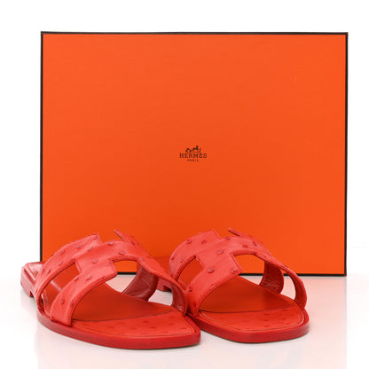 Hermes Ostrich Oran Sandals 41 Jasper Rouge 12 of 12