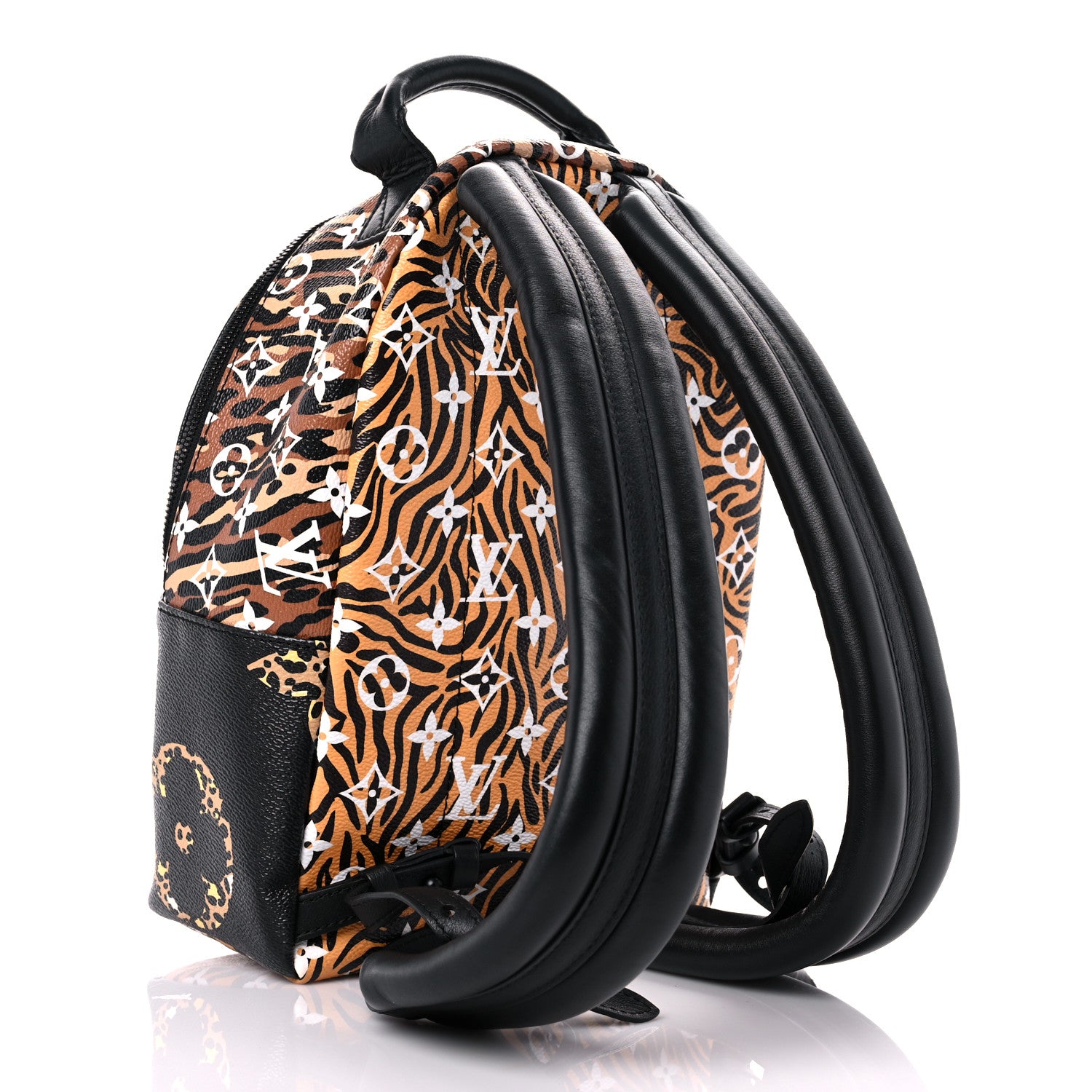 Louis Vuitton Monogram Giant Jungle Palm Springs Backpack PM Black 3 of 9