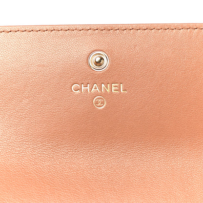 Chanel Lambskin Quilted Chanel 19 Flap Wallet Brown 6 of 21