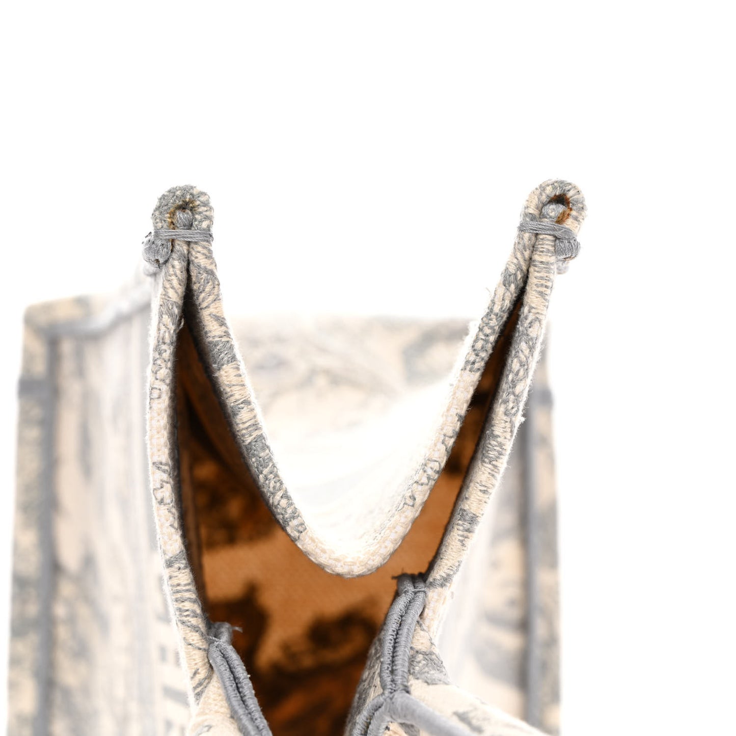 Canvas Embroidered Medium Dioriviera Toile De Jouy Book Tote Gray