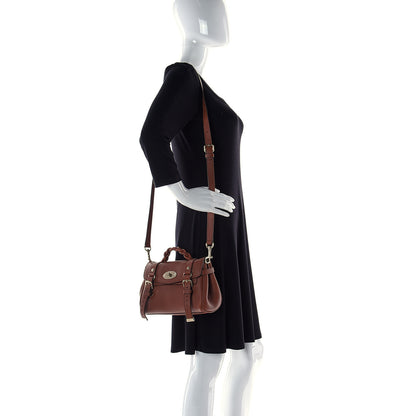 Mulberry Heavy Grain Mini Alexa Chestnut 3 of 17